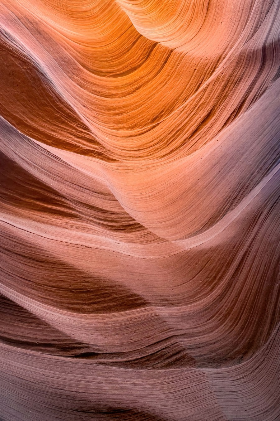 Navajo Sandstone Waves by Tom Heywood Photography