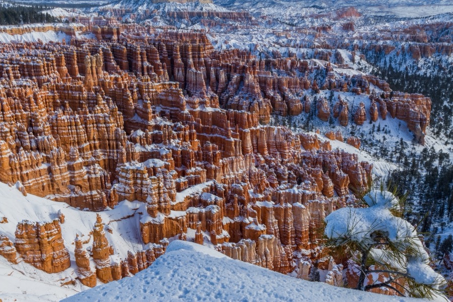 Bryce Canyon Winter by Tom Heywood Photography