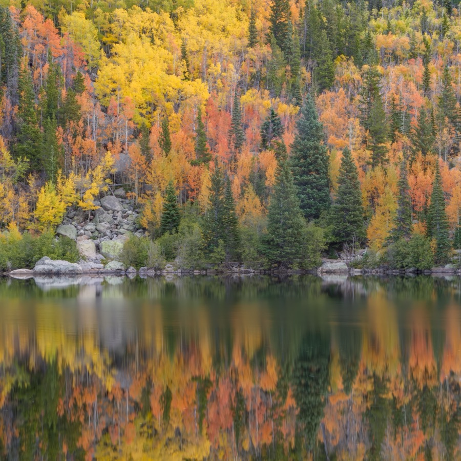 Bear Lake Reflection by Tom Heywood Photography