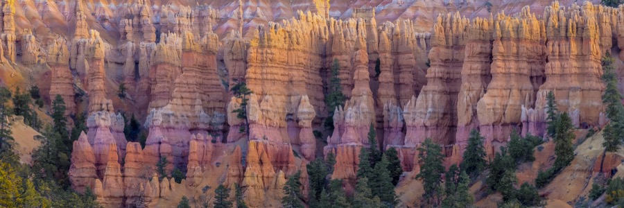 Bryce Canyon Hoodoos by Tom Heywood Photography