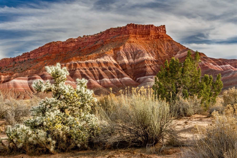 Cottonwood Canyon by Tom Heywood Photography