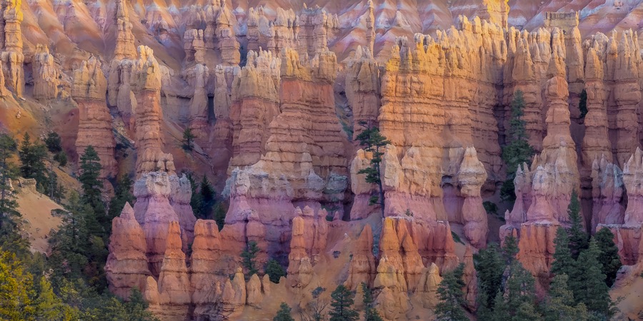 Bryce Canyon Hoodos 1 x 2 by Tom Heywood Photography