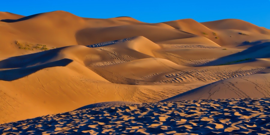 Great Sand Dunes by Tom Heywood Photography