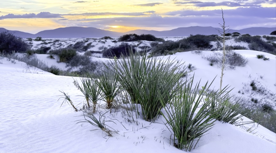 White Sands Sunset by Tom Heywood Photography