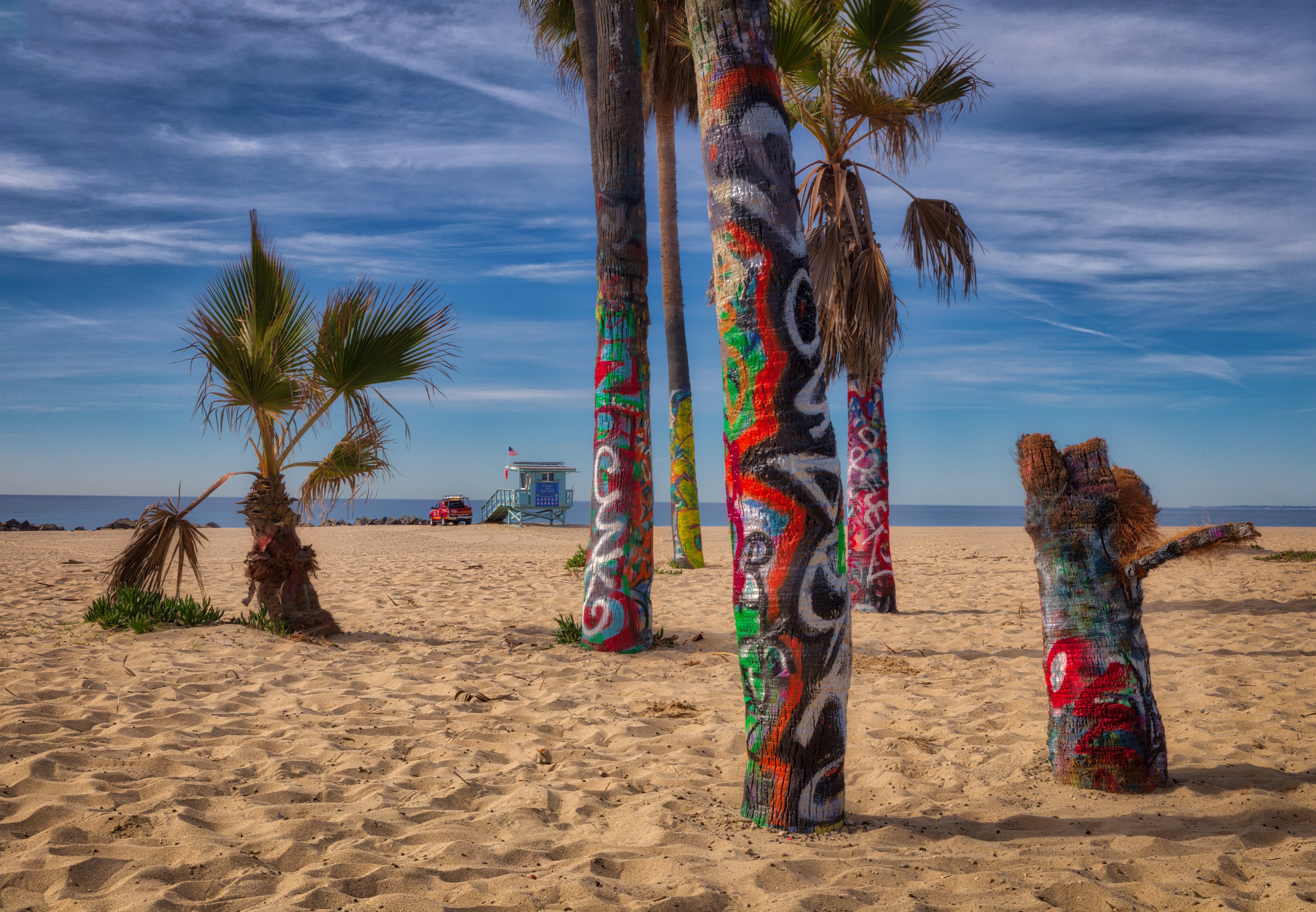 Venice Beach Painted Palms by Tom Heywood Photography