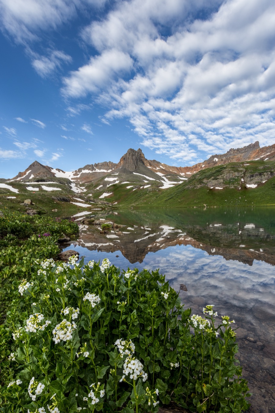 Ice Lake White Flowers by Tom Heywood Photography