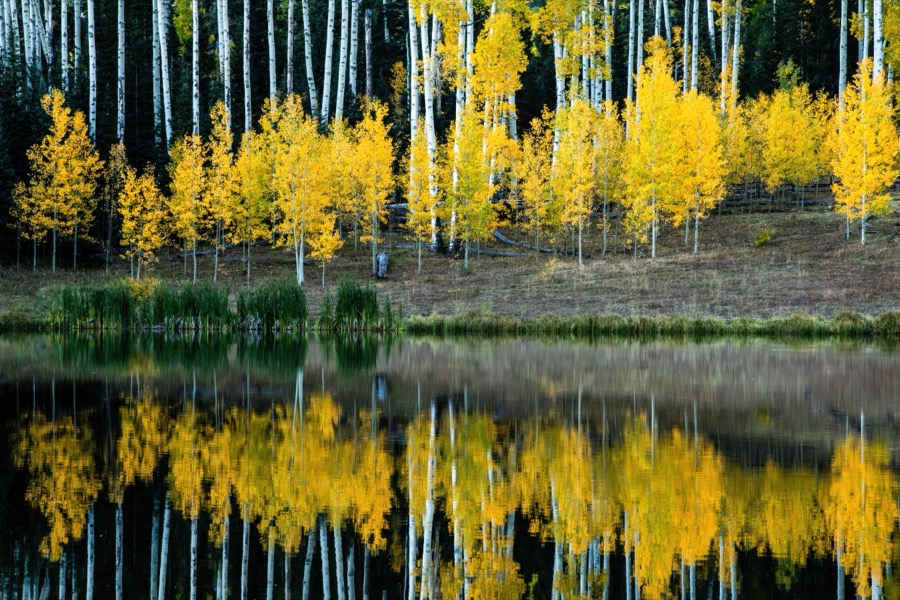 Rowdy Lake Aspen Reflection by Tom Heywood Photography
