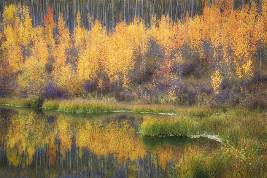 Twin Lakes Pond Reflection by Tom Heywood Photography