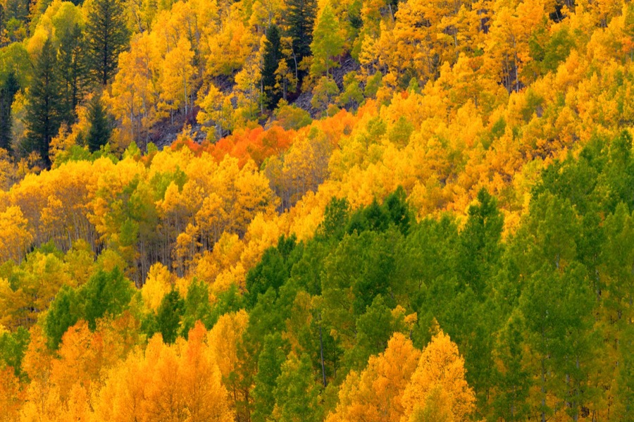 Slope of Color by Tom Heywood Photography
