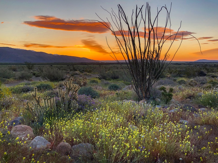 Anza Borego Sunrise by Tom Heywood Photography