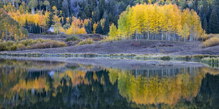 Clear Lake Aspen Reflection by Tom Heywood Photography